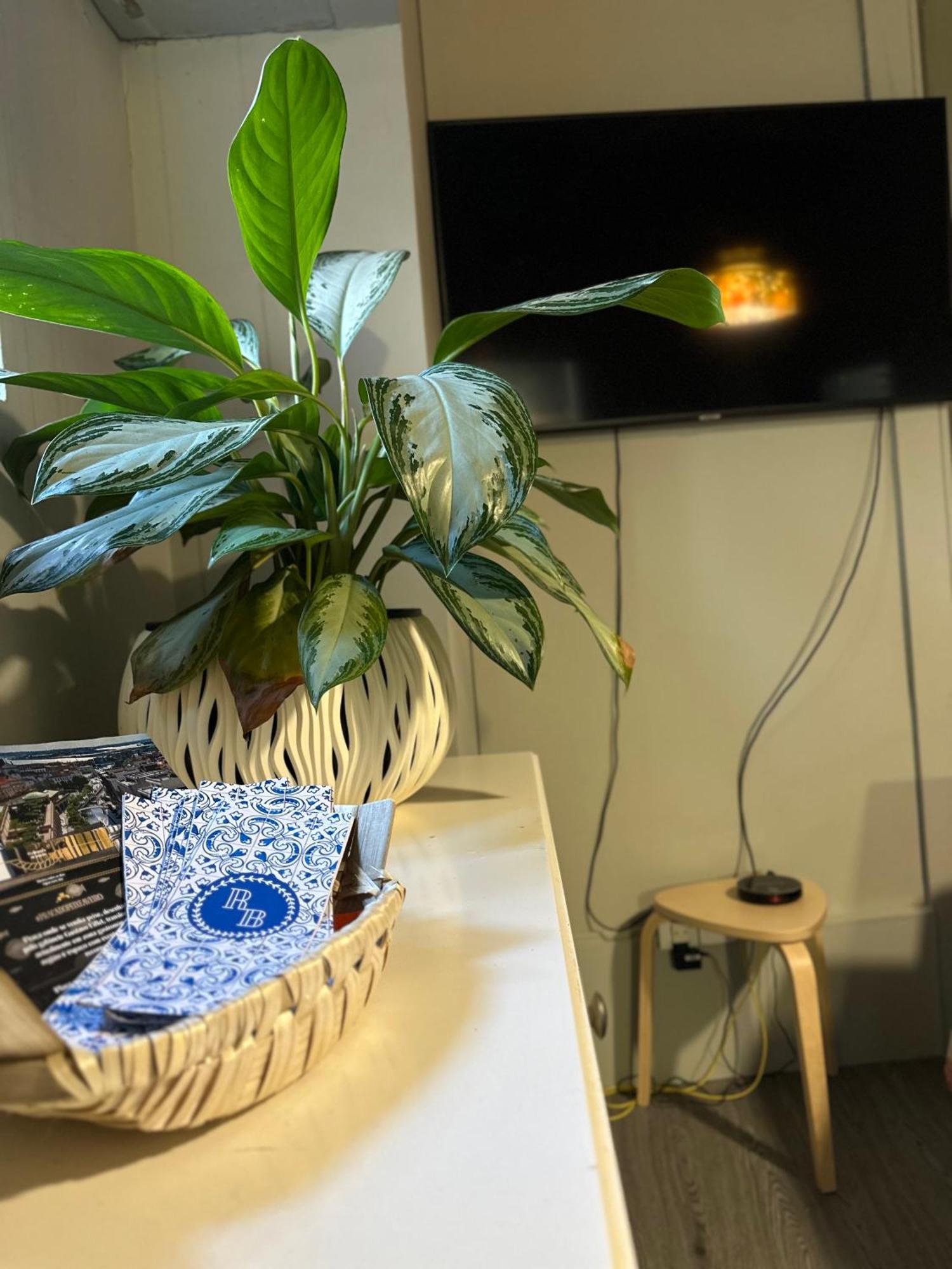 A Beira Hostel Aveiro Bagian luar foto
